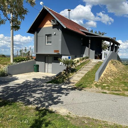 Kuca Za Odmor Mare Villa Sveti Martin Na Muri Dış mekan fotoğraf