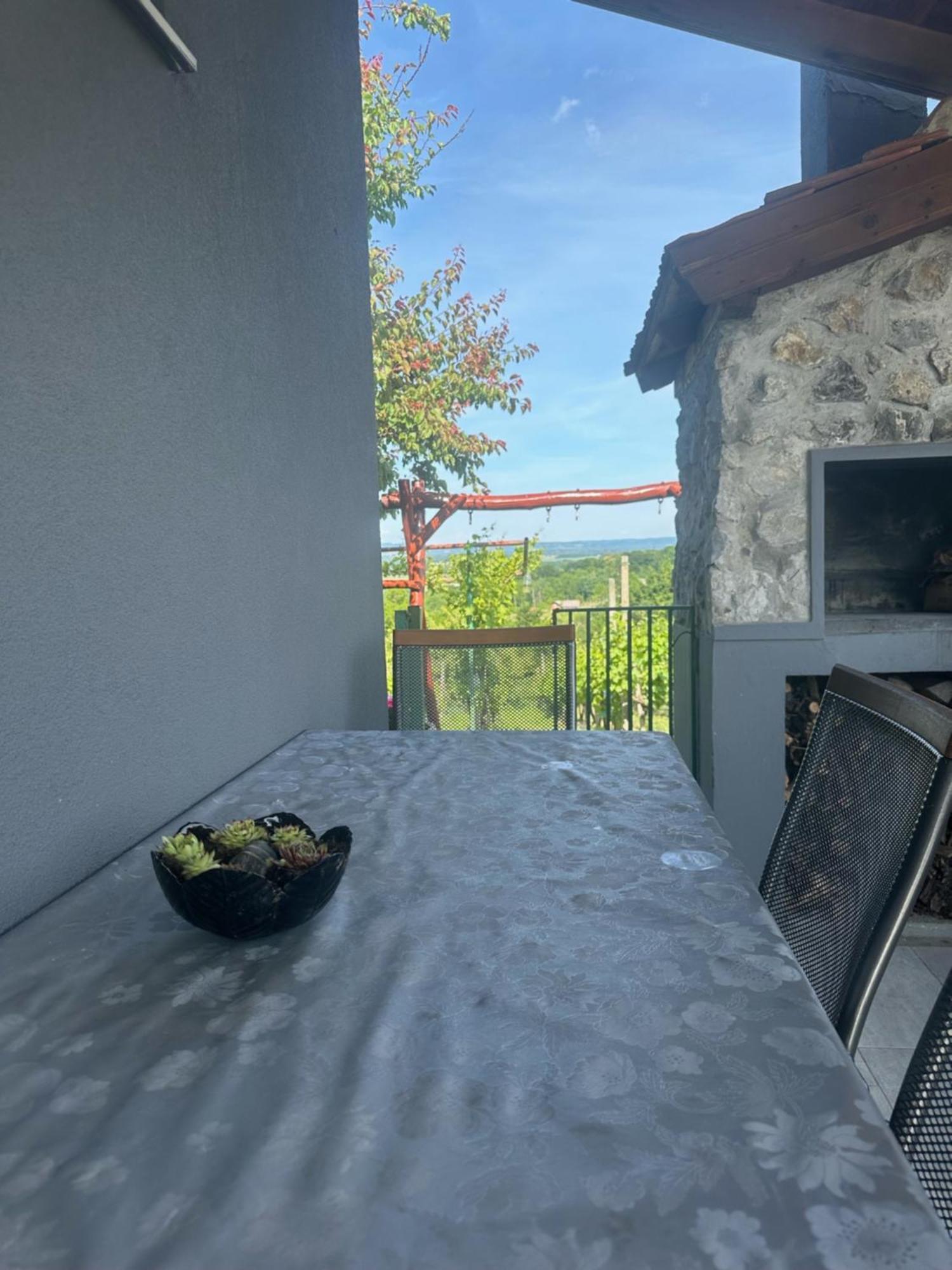 Kuca Za Odmor Mare Villa Sveti Martin Na Muri Dış mekan fotoğraf