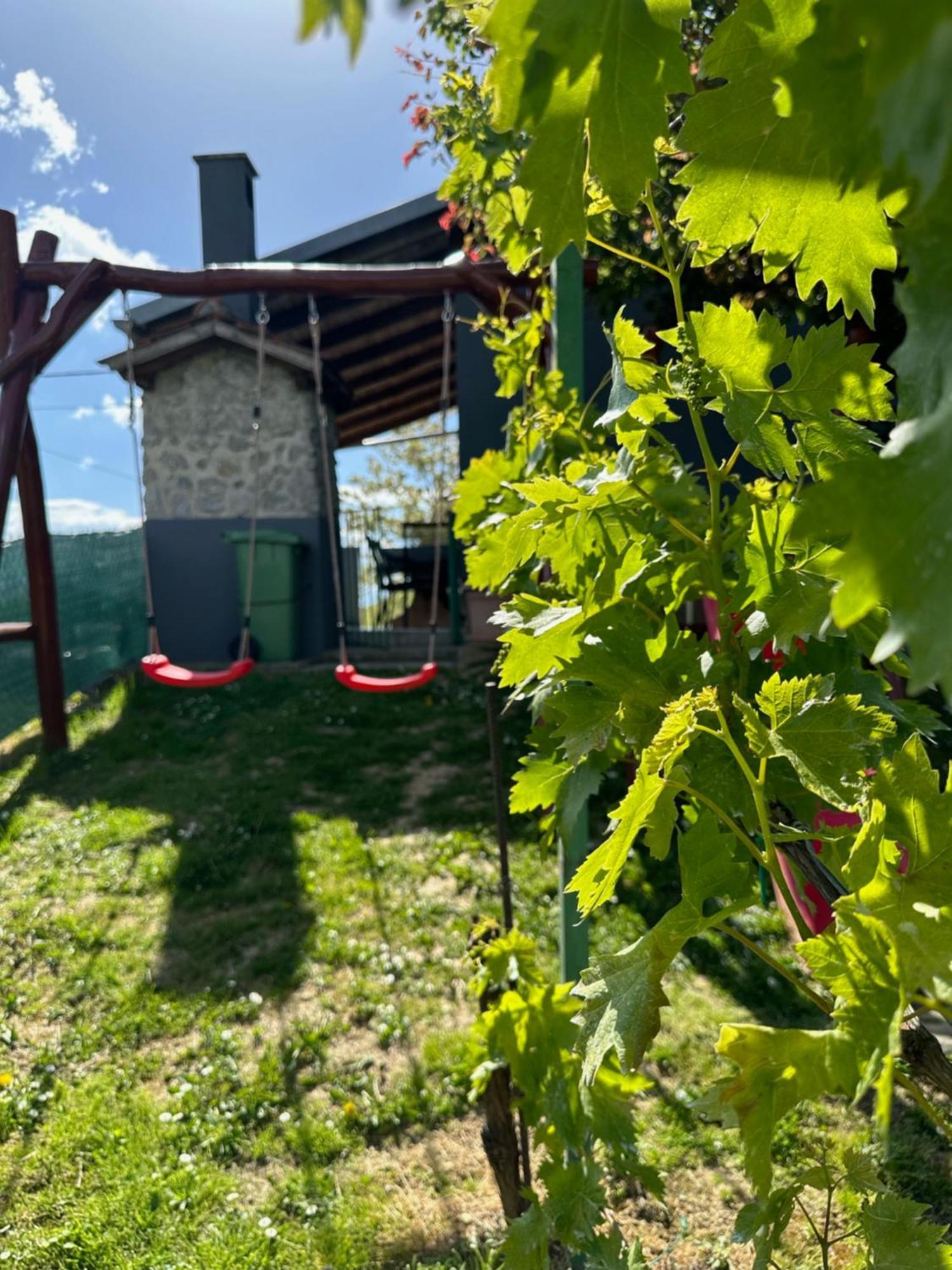Kuca Za Odmor Mare Villa Sveti Martin Na Muri Dış mekan fotoğraf